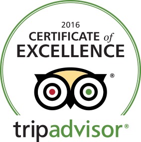 2016 Certificate of Excellence